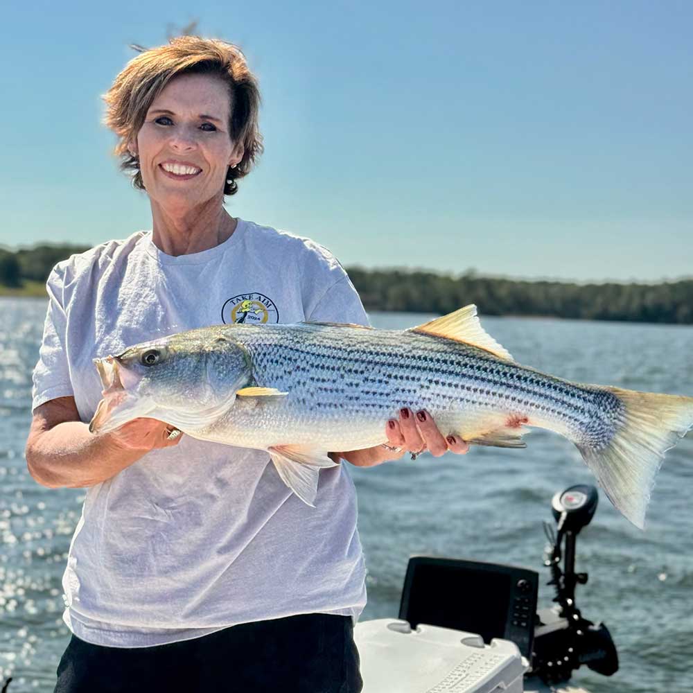 A healthy Russell striper caught this week with Guide Jerry Kotal