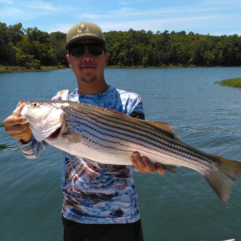 AHQ INSIDER Lake Russell (GA/SC) 2022 Week 36 Fishing Report – Updated September 8
