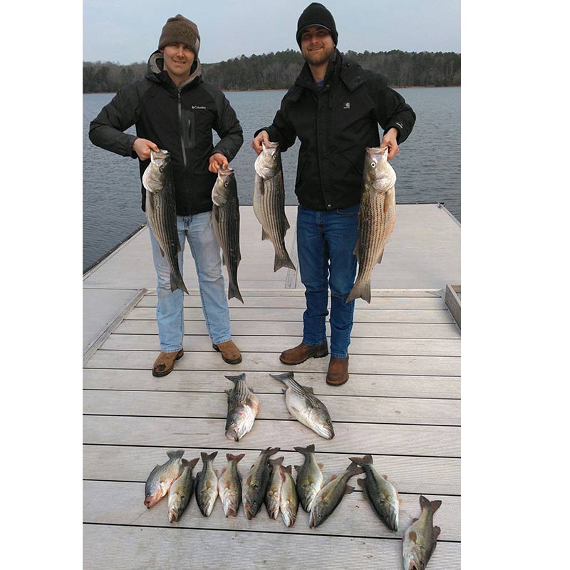 AHQ INSIDER Lake Russell (GA/SC) Spring 2022 Fishing Report – Updated February 1