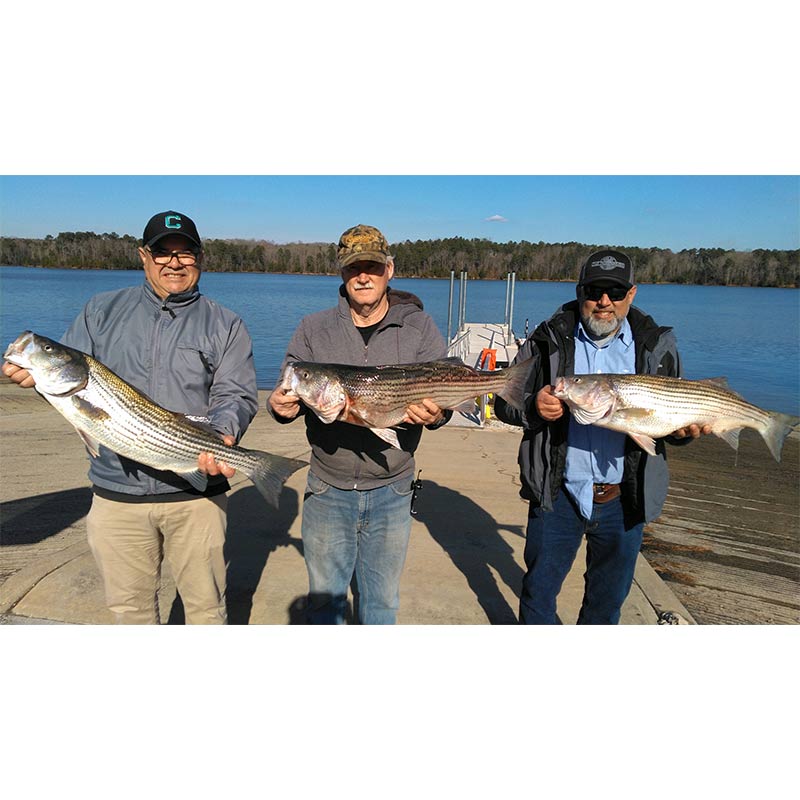 AHQ INSIDER Lake Russell (GA/SC) Spring 2022 Fishing Report – Updated January 20