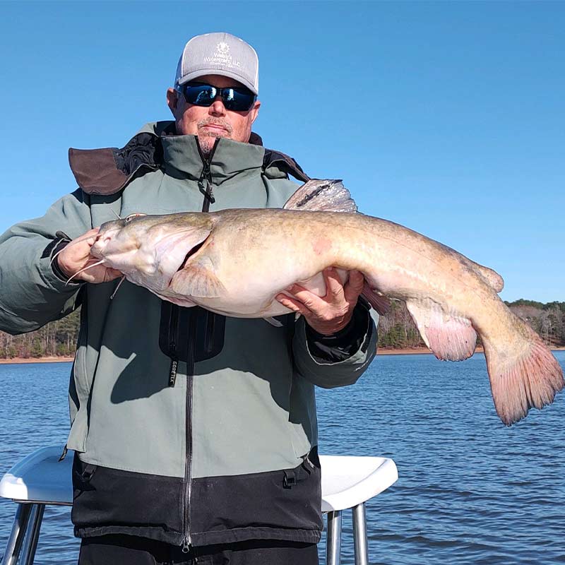 AHQ INSIDER Lake Russell (GA/SC) 2023 Week 50 Fishing Report – Updated December 14