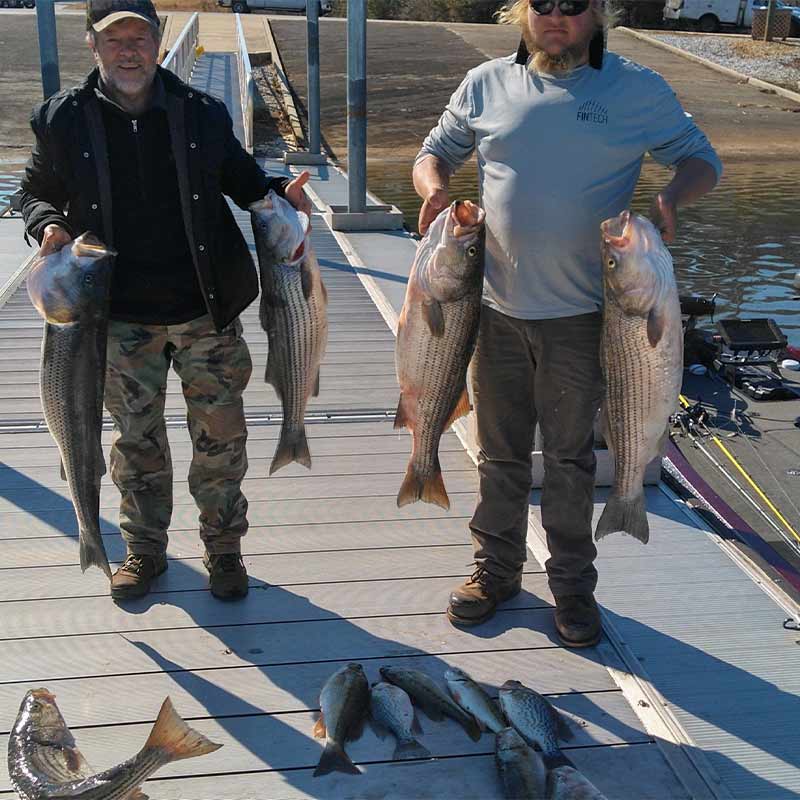 AHQ INSIDER Lake Russell (GA/SC) Spring 2022 Fishing Report – Updated February 10