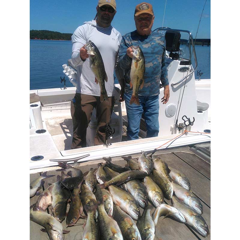 AHQ INSIDER Lake Russell (GA/SC) 2023 Week 18 Fishing Report – Updated May 4