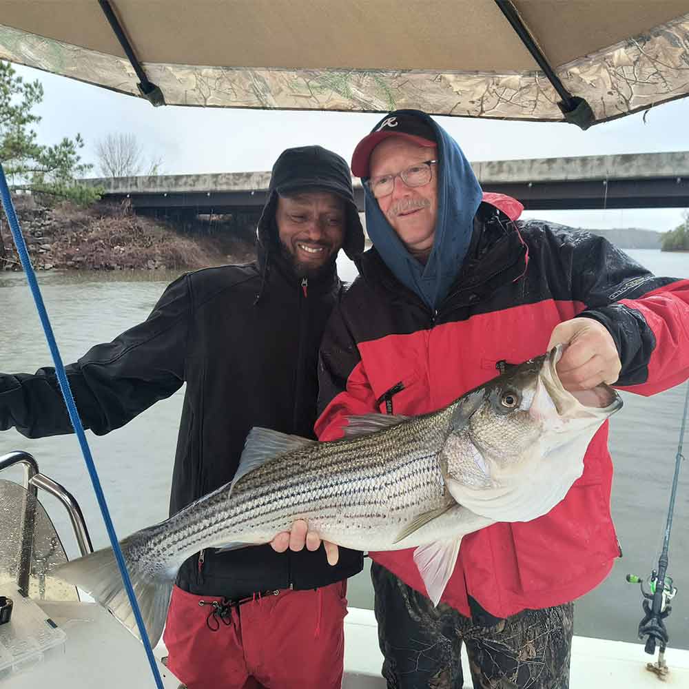 This week with Guide Luke Wilson