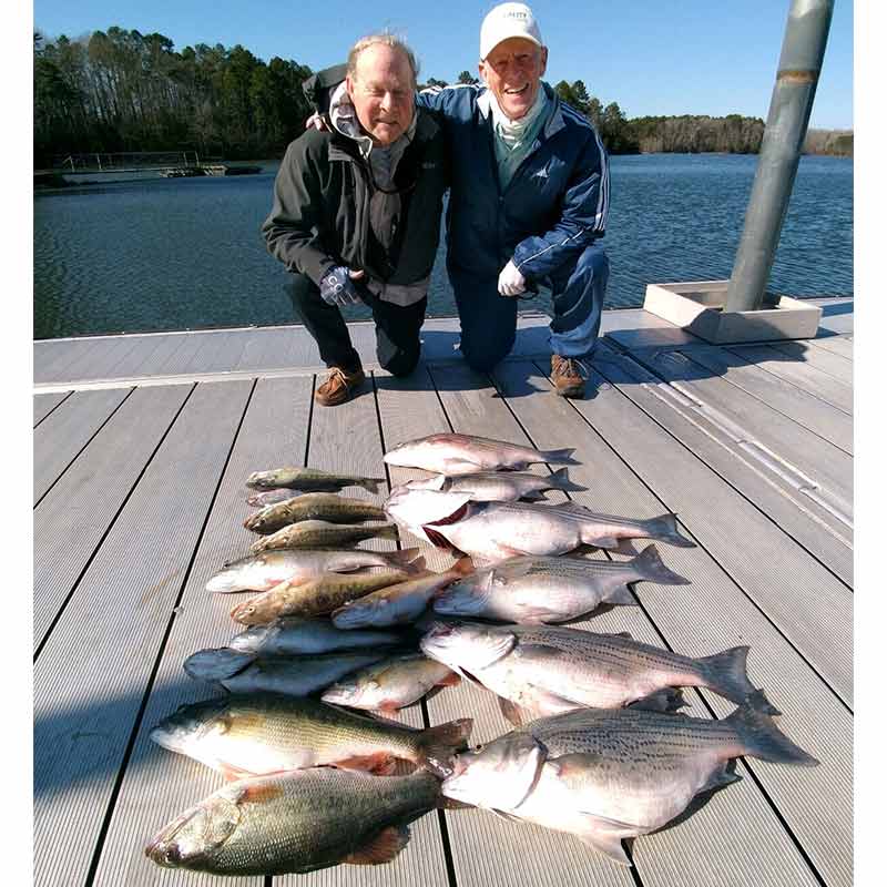 AHQ INSIDER Lake Russell (GA/SC) Spring 2022 Fishing Report – Updated February 18