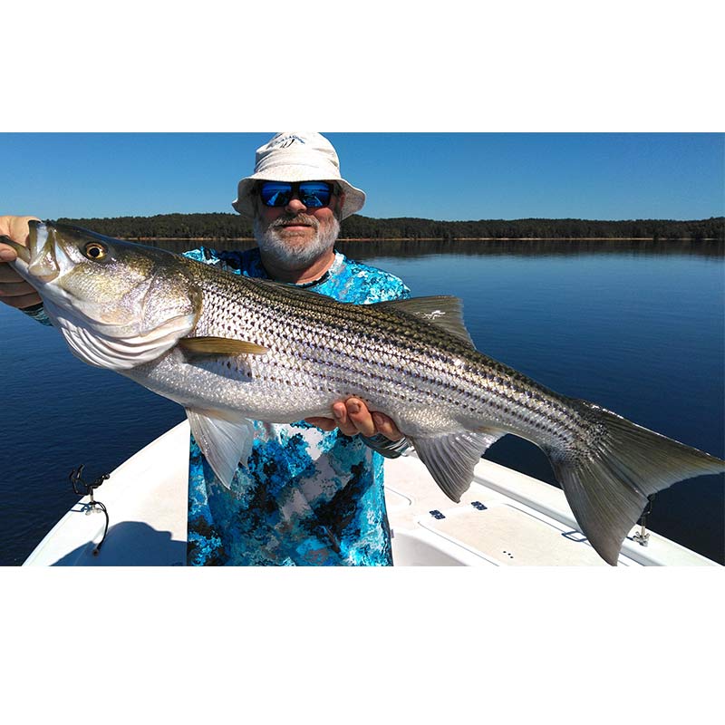AHQ INSIDER Lake Russell (GA/SC) 2022 Week 40 Fishing Report – Updated October 6