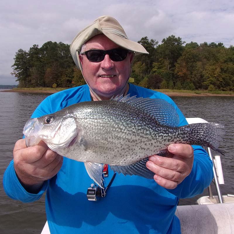 AHQ INSIDER Lake Russell (GA/SC) Spring 2020 Fishing Report – Updated February 18