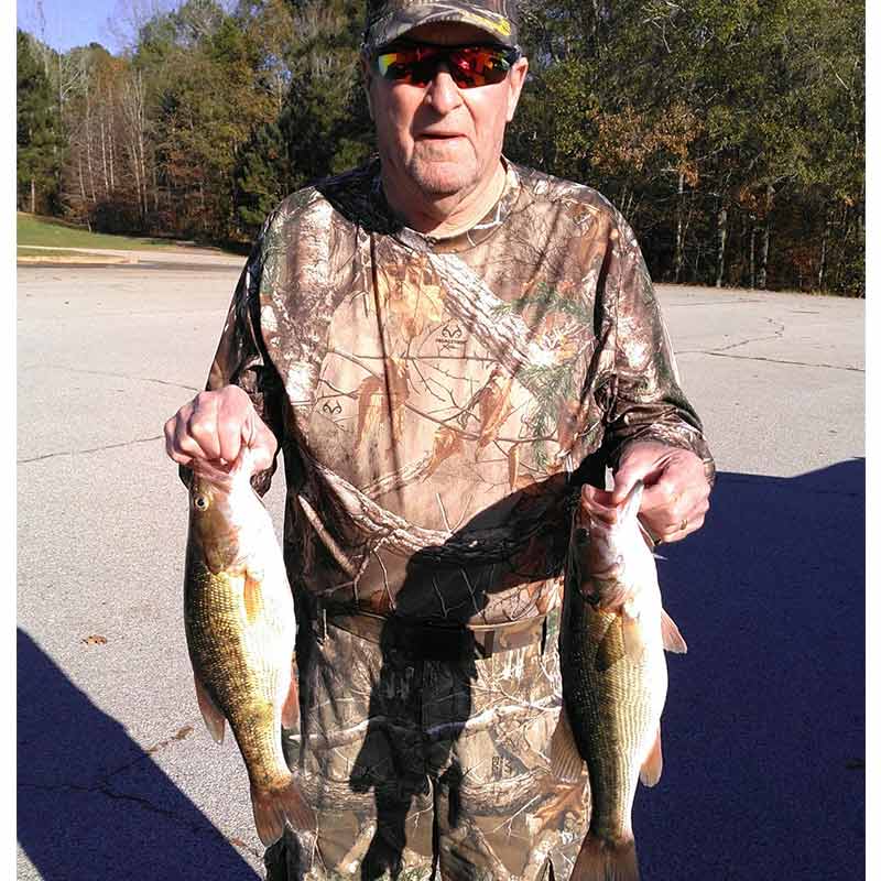 AHQ INSIDER Lake Russell (GA/SC) Fall 2020 Fishing Report – Updated November 24