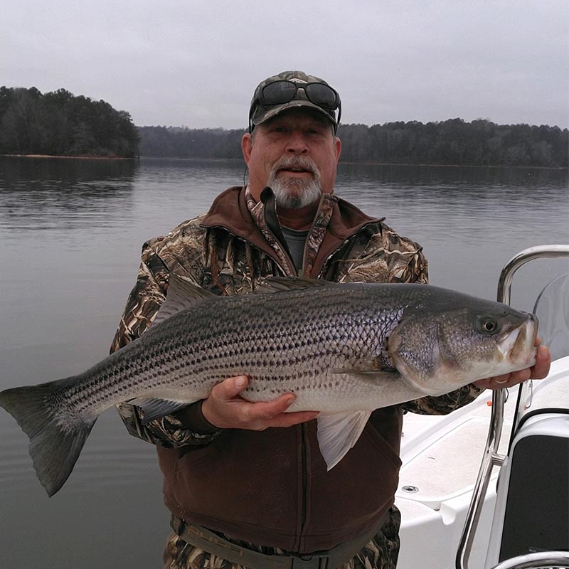 AHQ INSIDER Lake Russell (GA/SC) Spring 2021 Fishing Report – Updated February 26