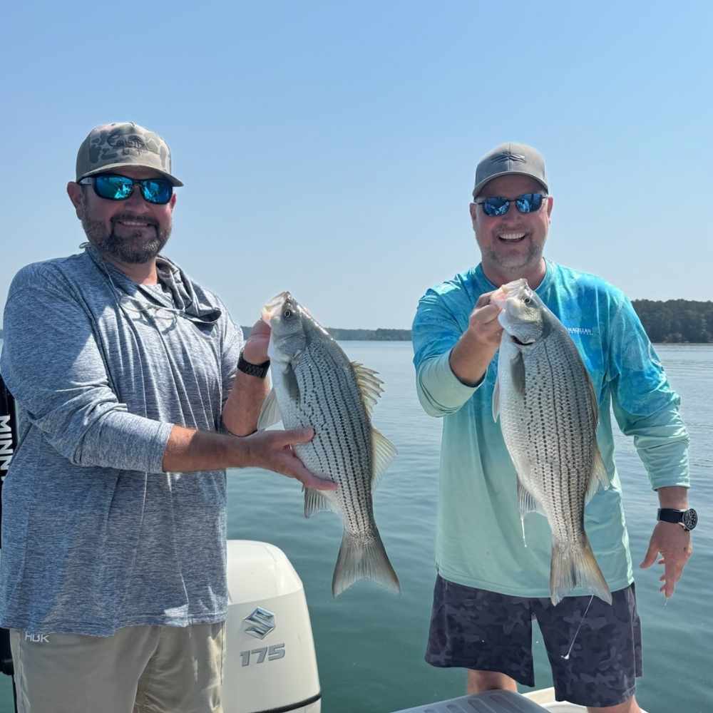 A couple of fat hybrids caught this week with Guide Jerry Kotal