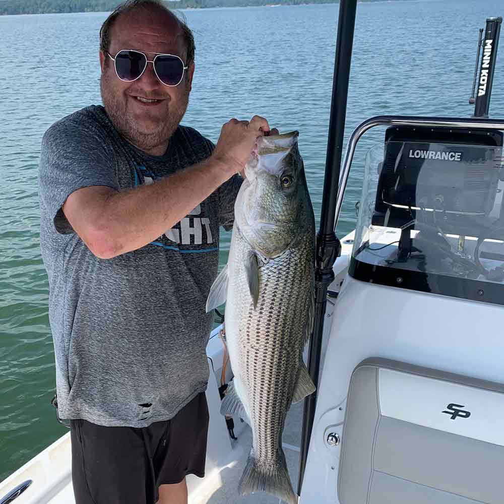 A nice striper caught with Guide Jerry Kotal this week