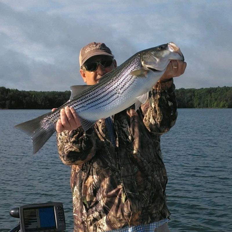 AHQ INSIDER Lake Russell (GA/SC) Summer 2020 Fishing Report – Updated June 30