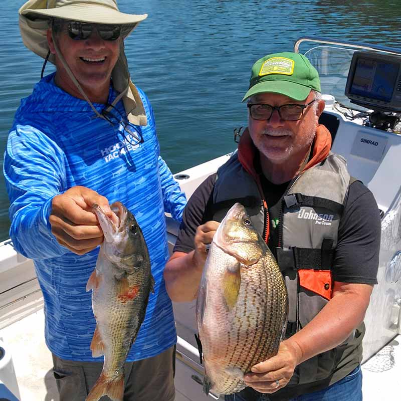 AHQ INSIDER Lake Russell (GA/SC) 2022 Week 20 Fishing Report – Updated May 18