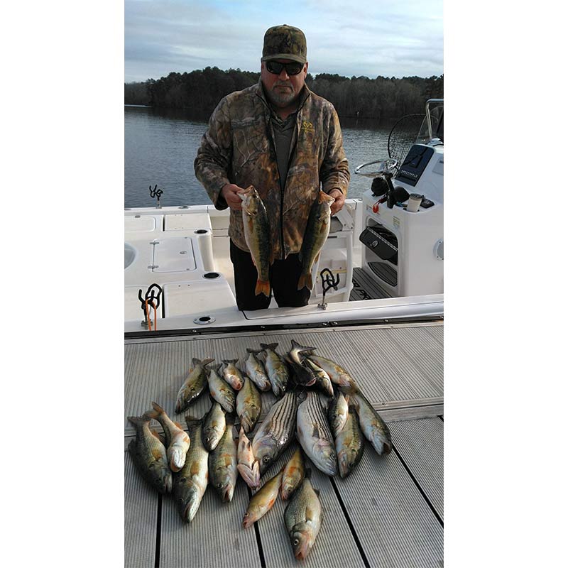 AHQ INSIDER Lake Russell (GA/SC) Fall 2021 Fishing Report – Updated December 22