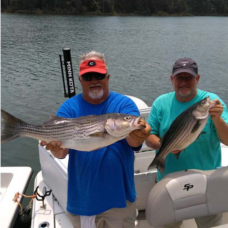 AHQ INSIDER Lake Russell (GA/SC) Summer 2021 Fishing Report – Updated August 20