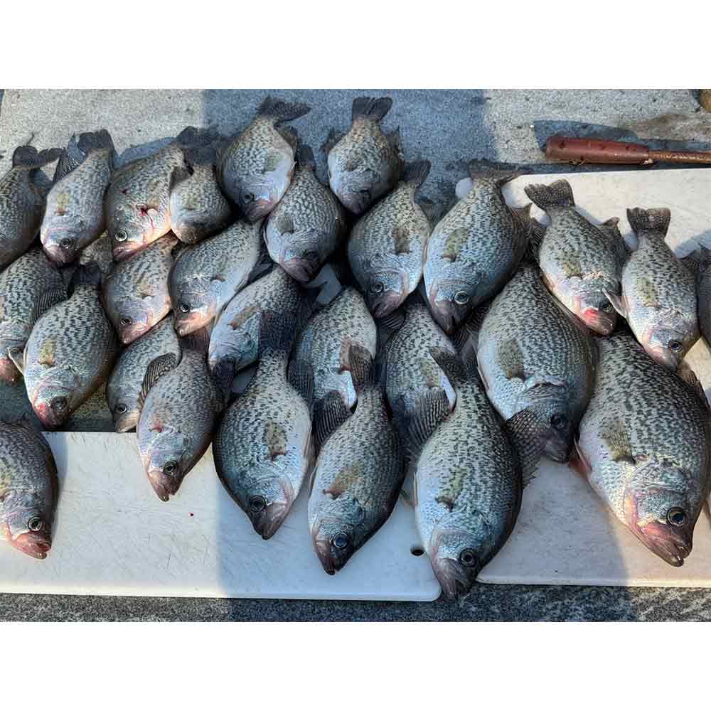 A nice haul with Guide Jerry Kotal 