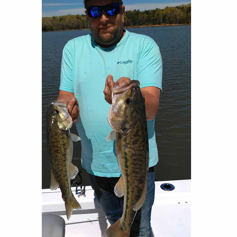 AHQ INSIDER Lake Russell (GA/SC) Spring 2020 Fishing Report – Updated April 15