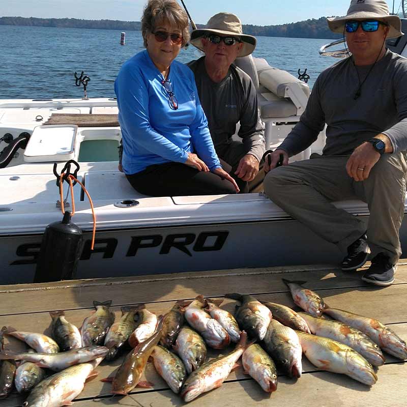 AHQ INSIDER Lake Russell (GA/SC) 2022 Week 43 Fishing Report – Updated October 27