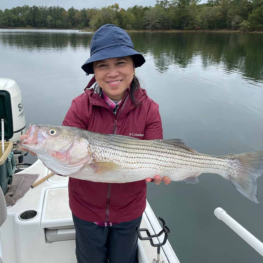 A rare striper caught this week with Guide Jerry Kotal