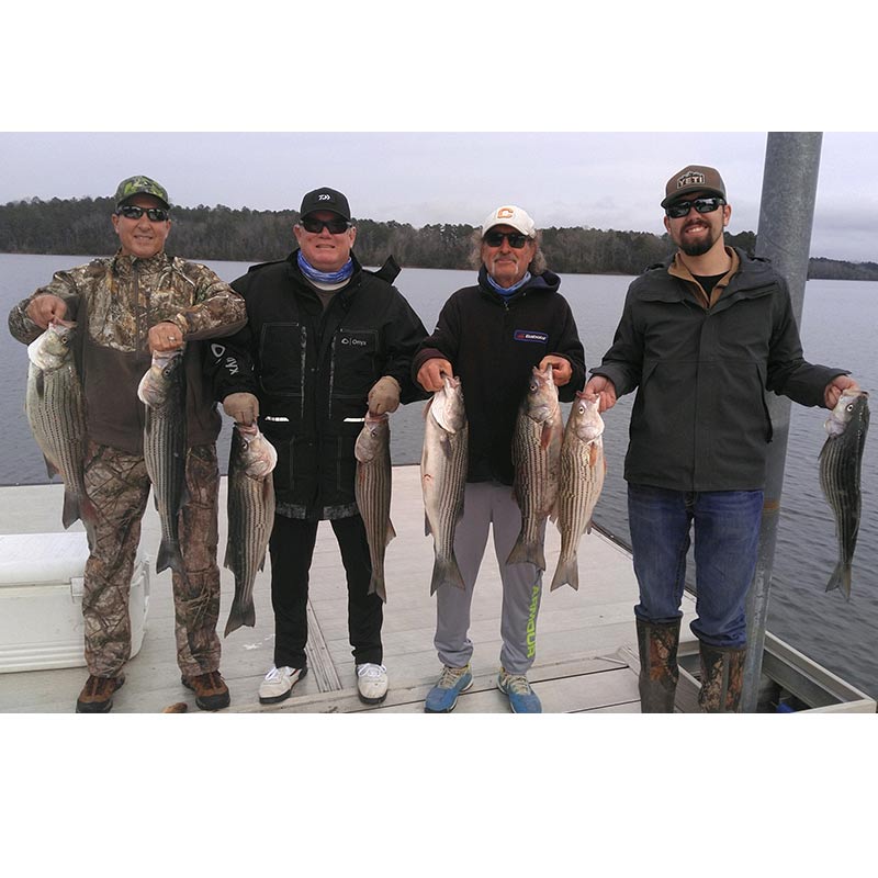 AHQ INSIDER Lake Russell (GA/SC) Spring 2021 Fishing Report – Updated January 7