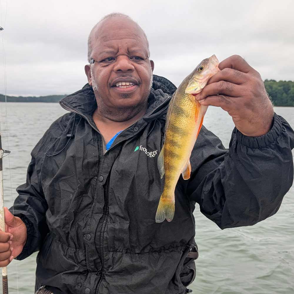 And then, they reappeared - with Wilson's Guide Service