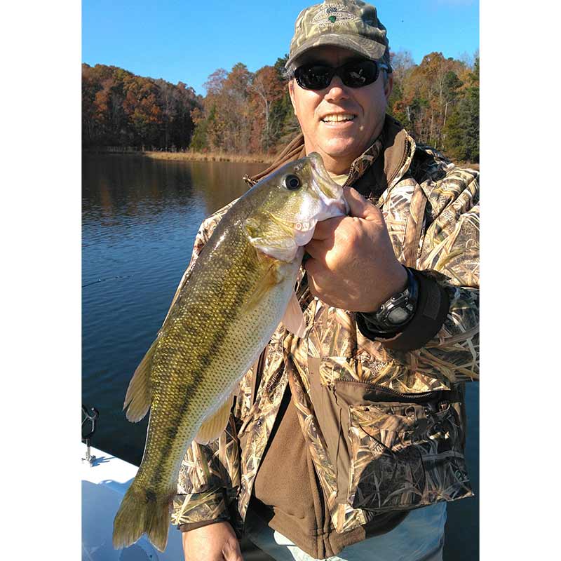 AHQ INSIDER Lake Russell (GA/SC) Fall 2021 Fishing Report – Updated November 19