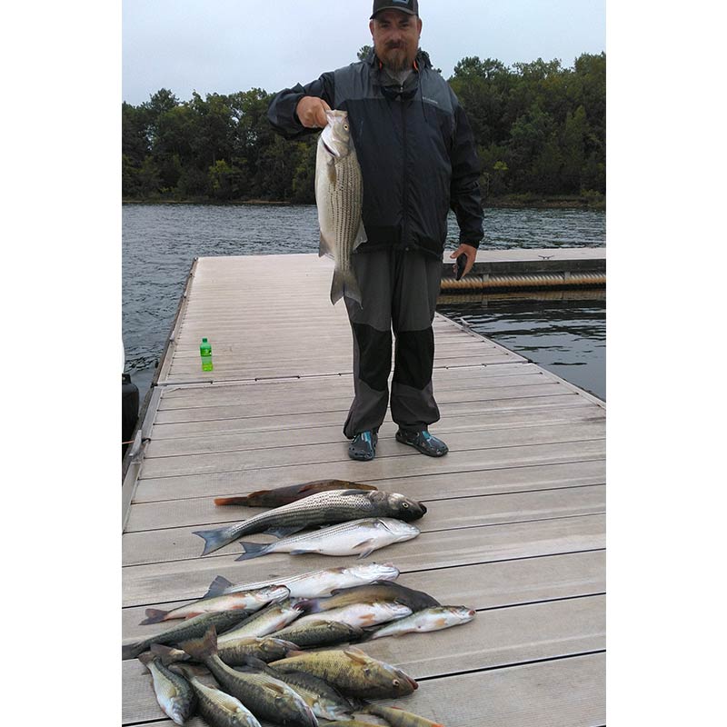 AHQ INSIDER Lake Russell (GA/SC) 2022 Week 37 Fishing Report – Updated September 15