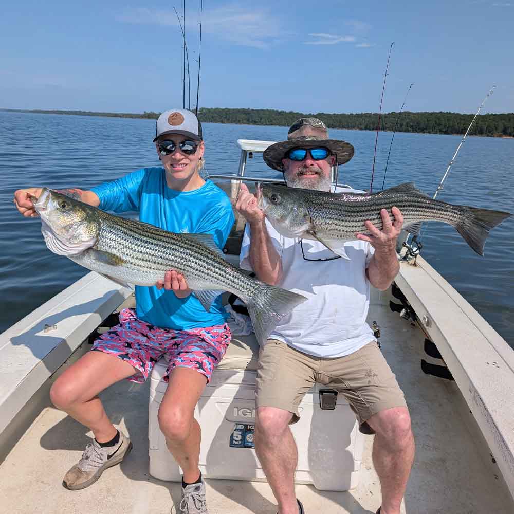 A really nice pair of striper caught with Wilson's Guide Service