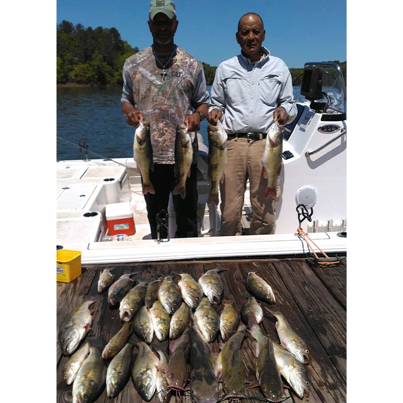 AHQ INSIDER Lake Russell (GA/SC) 2023 Week 26 Fishing Report – Updated June 29
