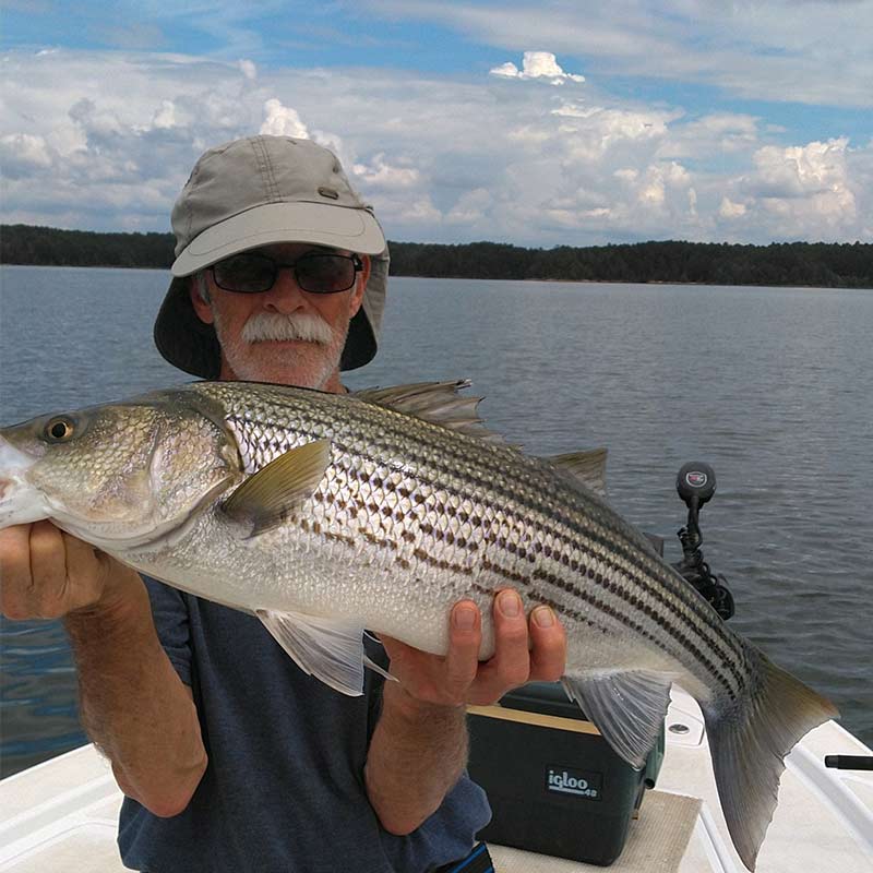 AHQ INSIDER Lake Russell (GA/SC) Fall 2021 Fishing Report – Updated September 30