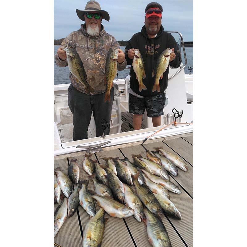 AHQ INSIDER Lake Russell (GA/SC) 2023 Week 11 Fishing Report – Updated March 16