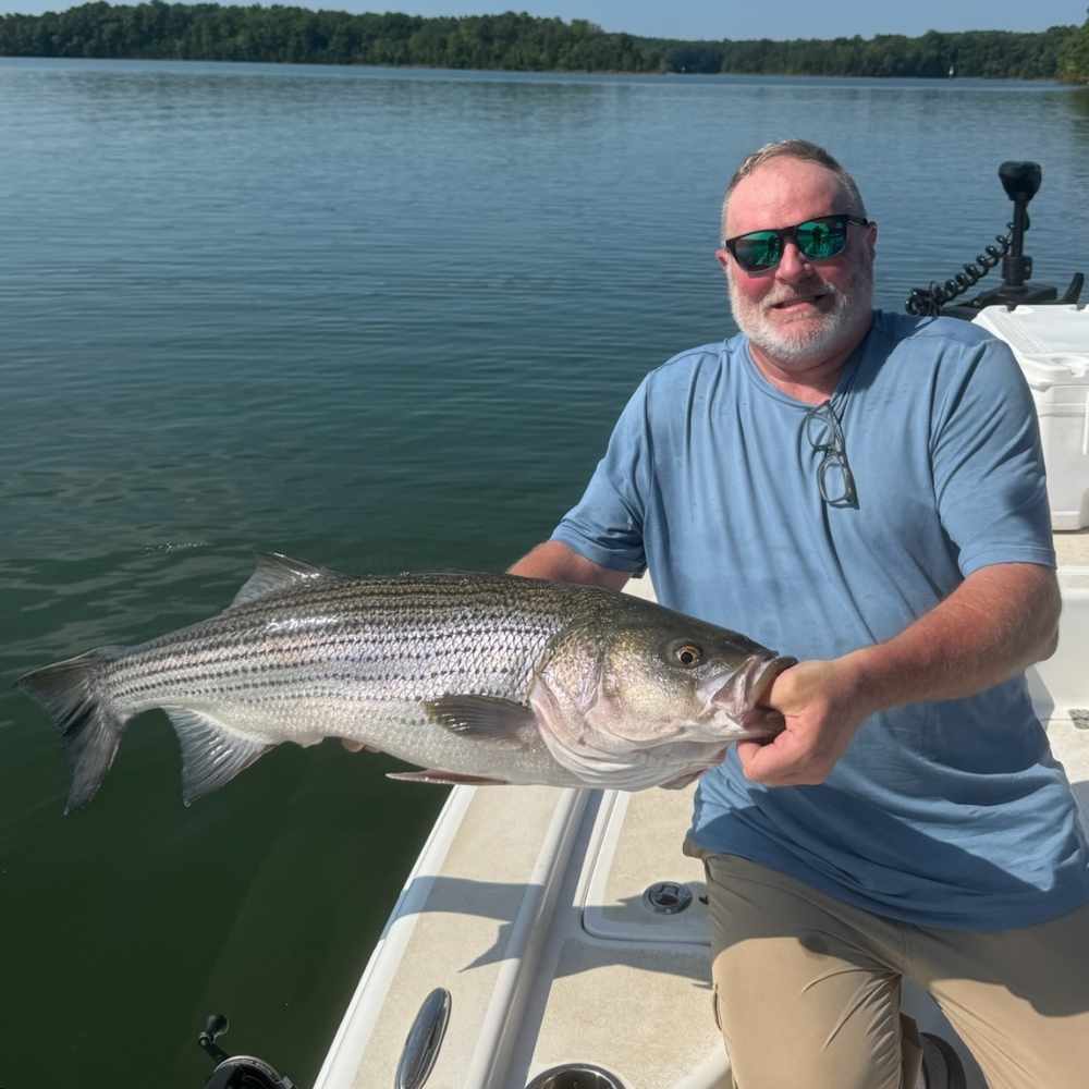 A nice striper this week with Guide Jerry Kotal
