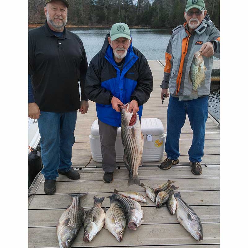 AHQ INSIDER Lake Russell (GA/SC) 2023 Week 3 Fishing Report – Updated January 19