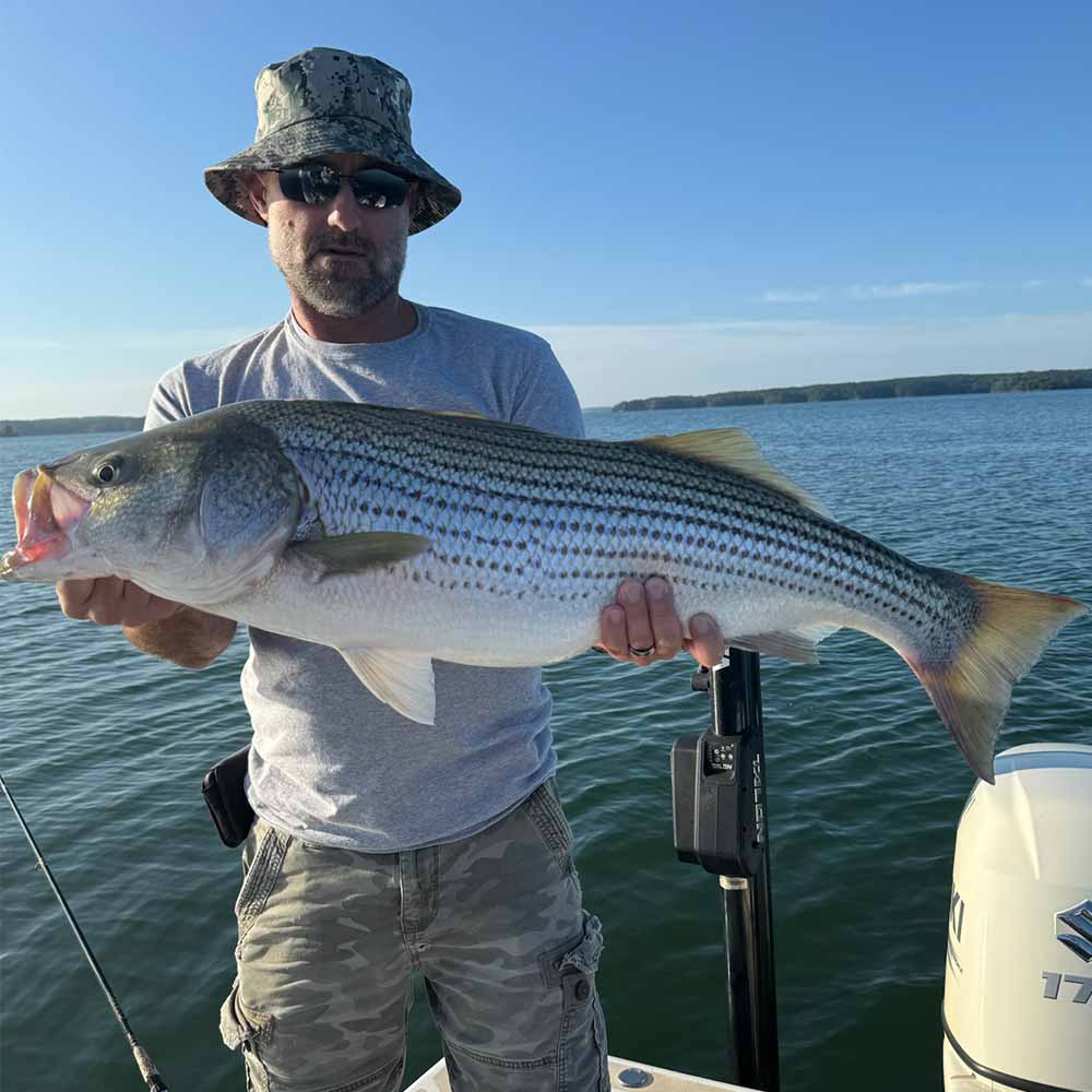 A good Russell striper this week with Guide Jerry Kotal