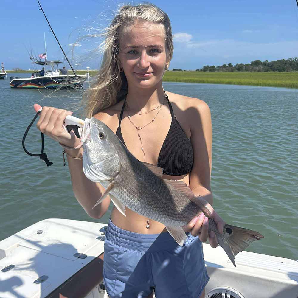 An inshore redfish this week with Captain Robert Orr