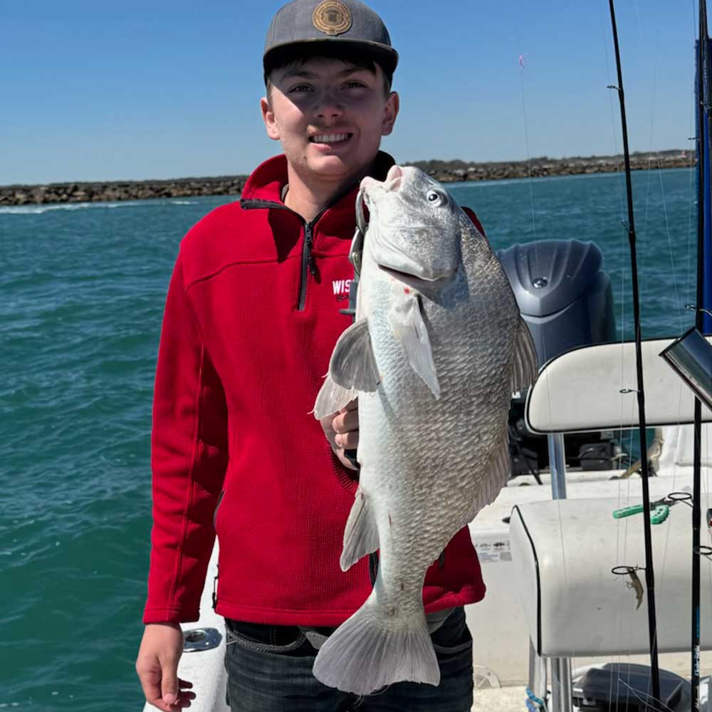 A good black drum caught with Captain Tom Cushman