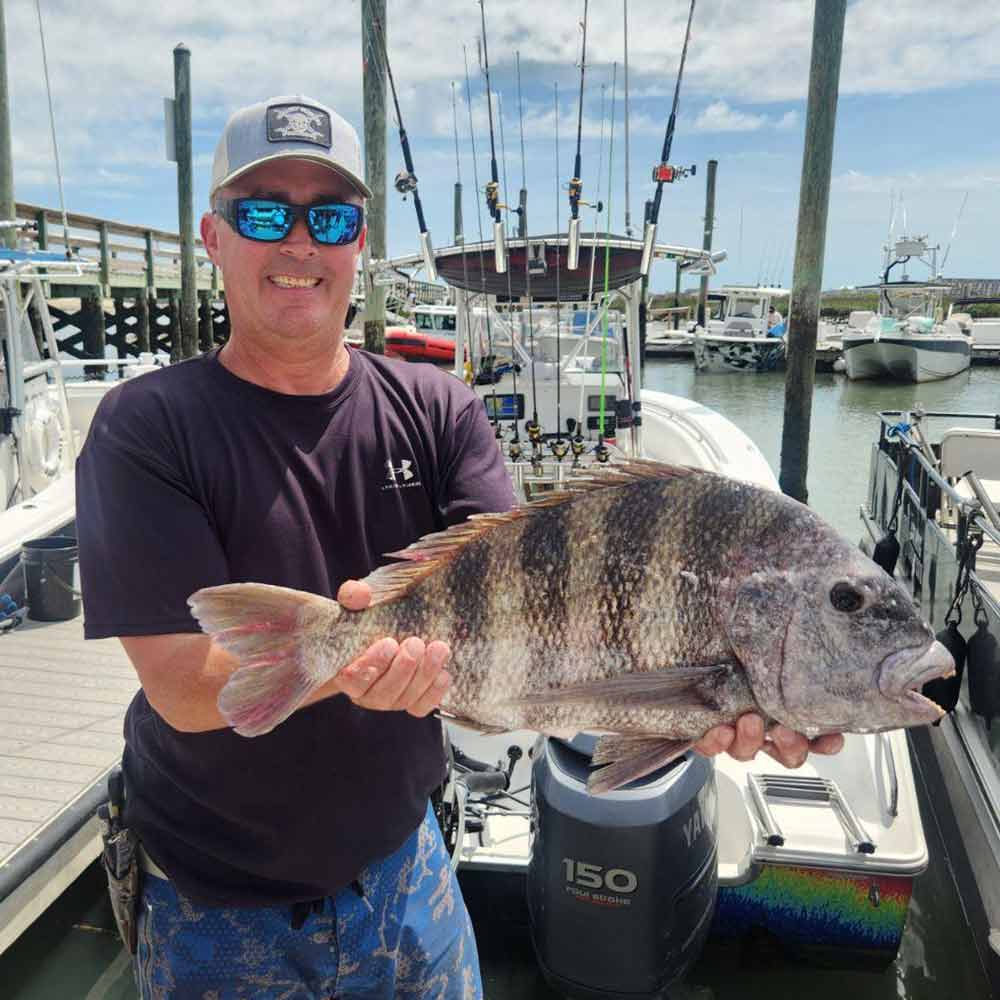 Sheepshead are also at the reefs