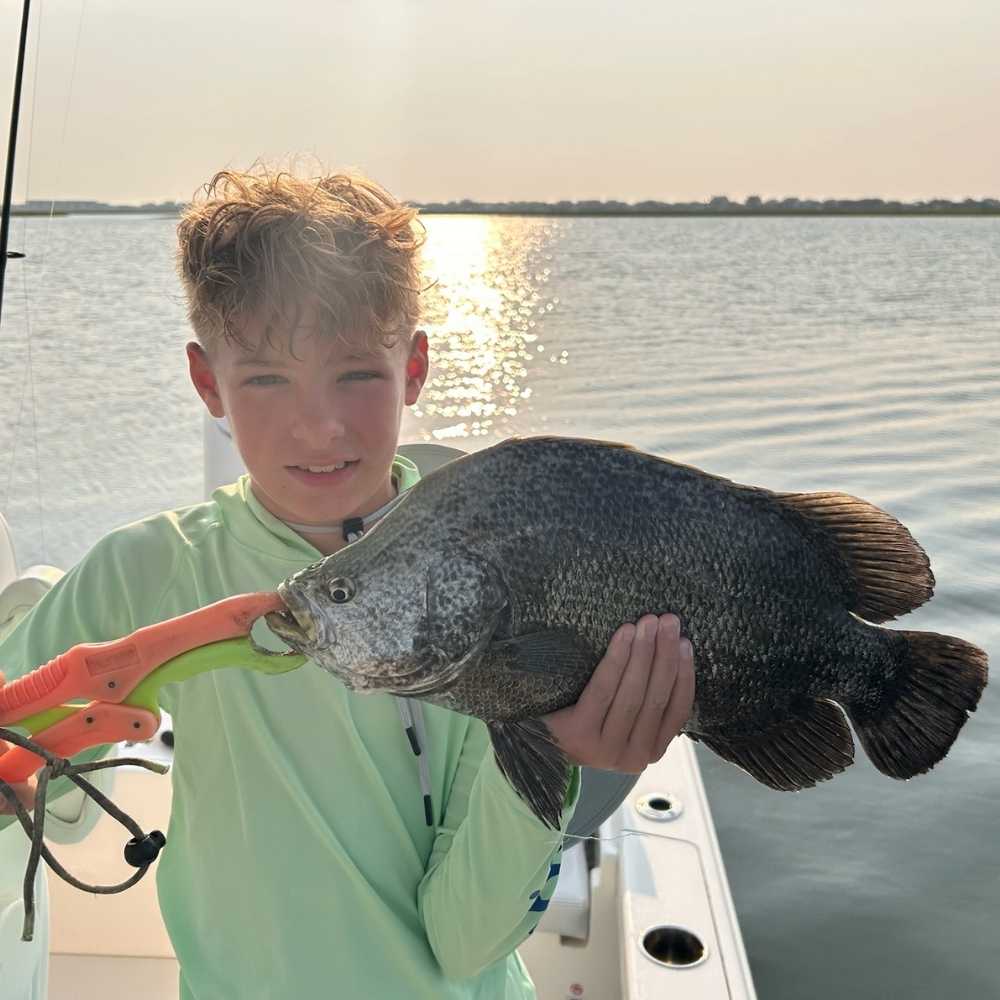 A nice tripletail caught last week with Captain Caleb Hartley