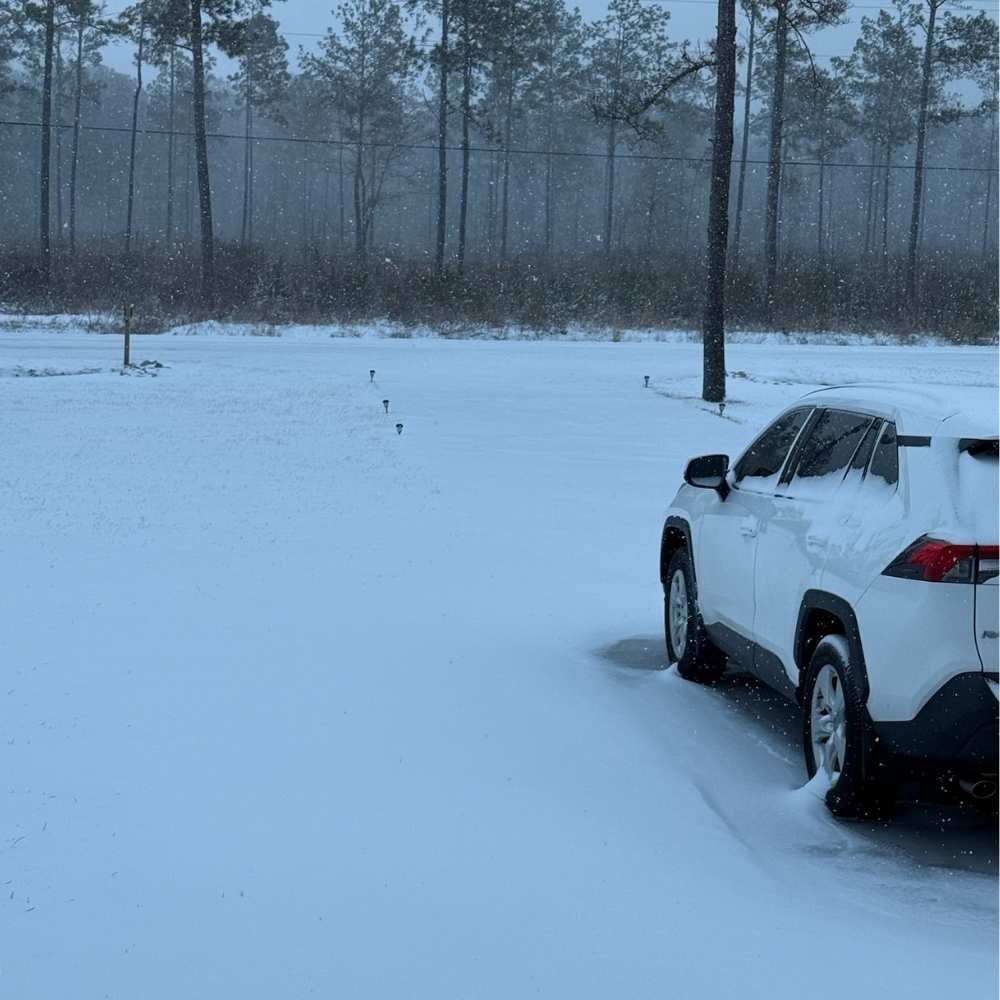 AHQ INSIDER Murrells Inlet/ South Grand Strand (SC) 2026 Week 6 Fishing Report – Updated February 4