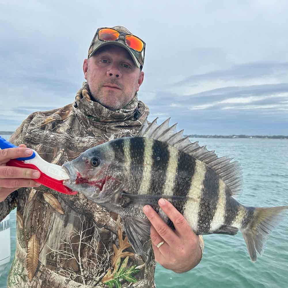 Caught at the jetties this week with Captain Caleb Hartley