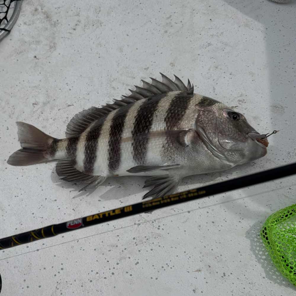 From the Murrells Inlet jetties with Captain Tom Cushman