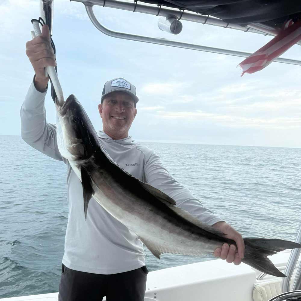A nice cobia caught this week with Fish Finder Fishing Charters