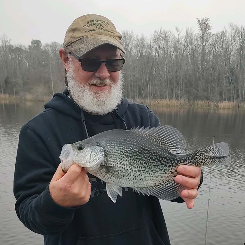AHQ INSIDER Santee Cooper (SC) 2024 Week 10 Fishing Report – Updated March 8