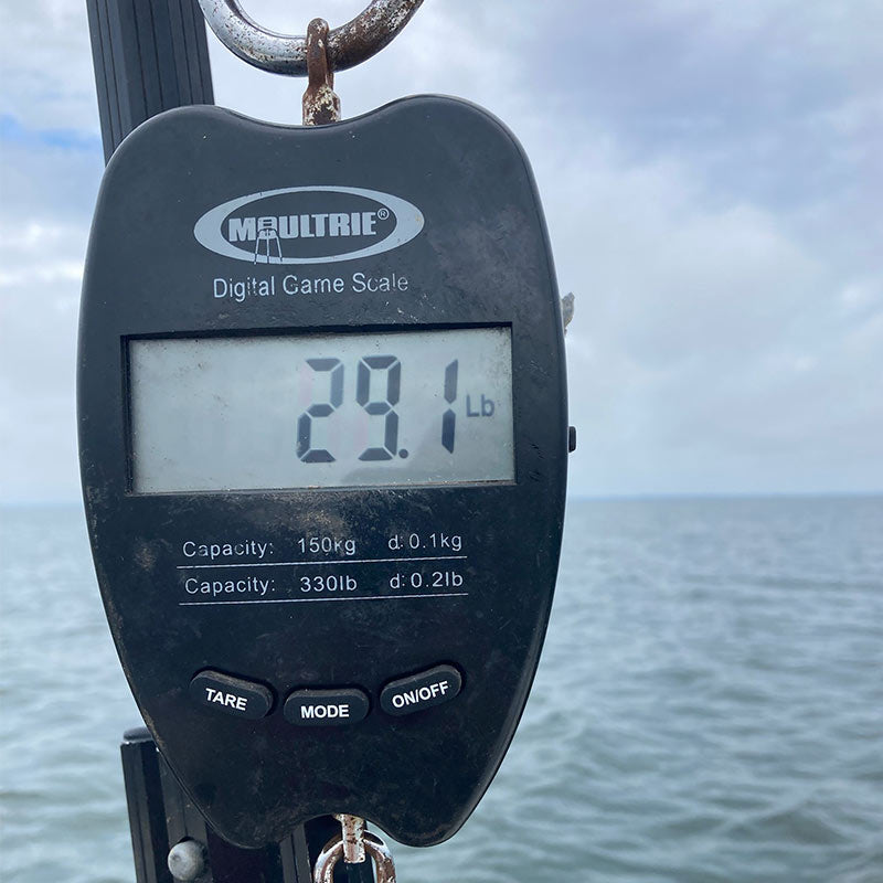 AHQ INSIDER Santee Cooper (SC) 2022 Week 39 Fishing Report – Updated September 29