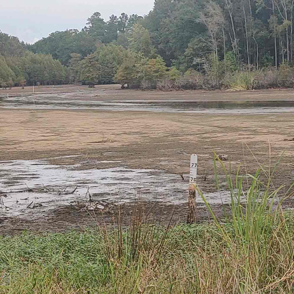 Just minutes ago - courtesy of Captain Steve English