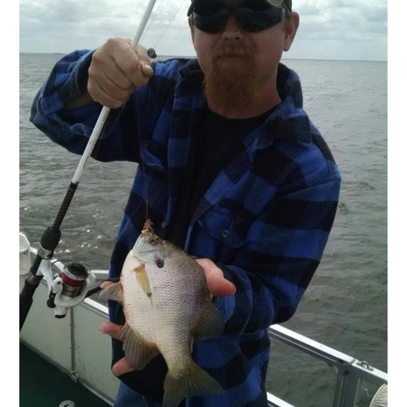 AHQ INSIDER Santee Cooper (SC) Spring 2022 Fishing Report – Updated February 11