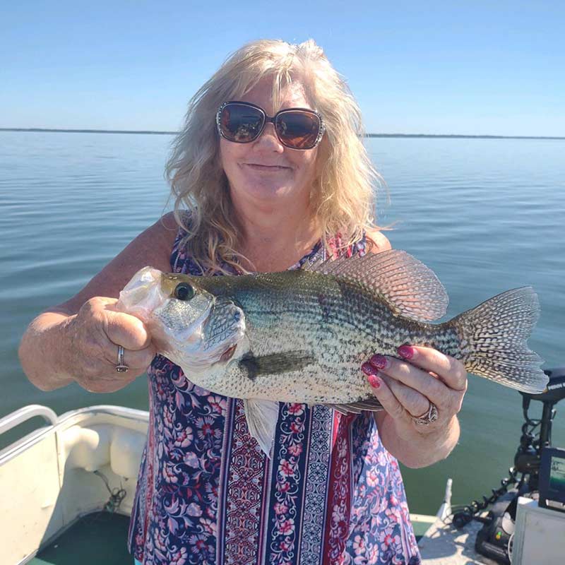 AHQ INSIDER Santee Cooper (SC) Fall 2021 Fishing Report – Updated October 20