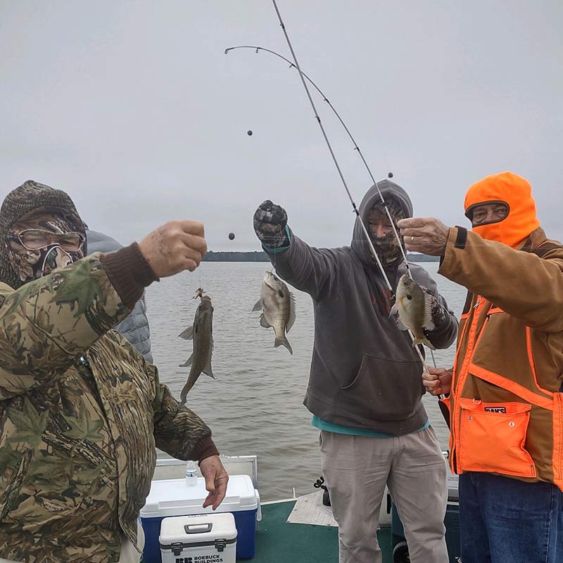 AHQ INSIDER Santee Cooper (SC) Fall 2020 Fishing Report – Updated December 17
