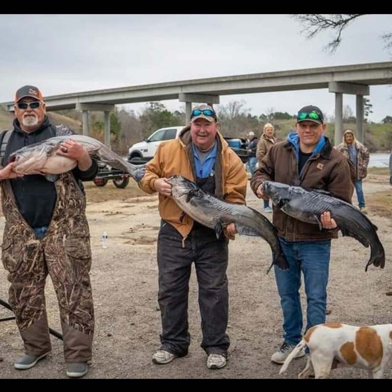 AHQ INSIDER Santee Cooper (SC) 2023 Week 4 Fishing Report – Updated January 26