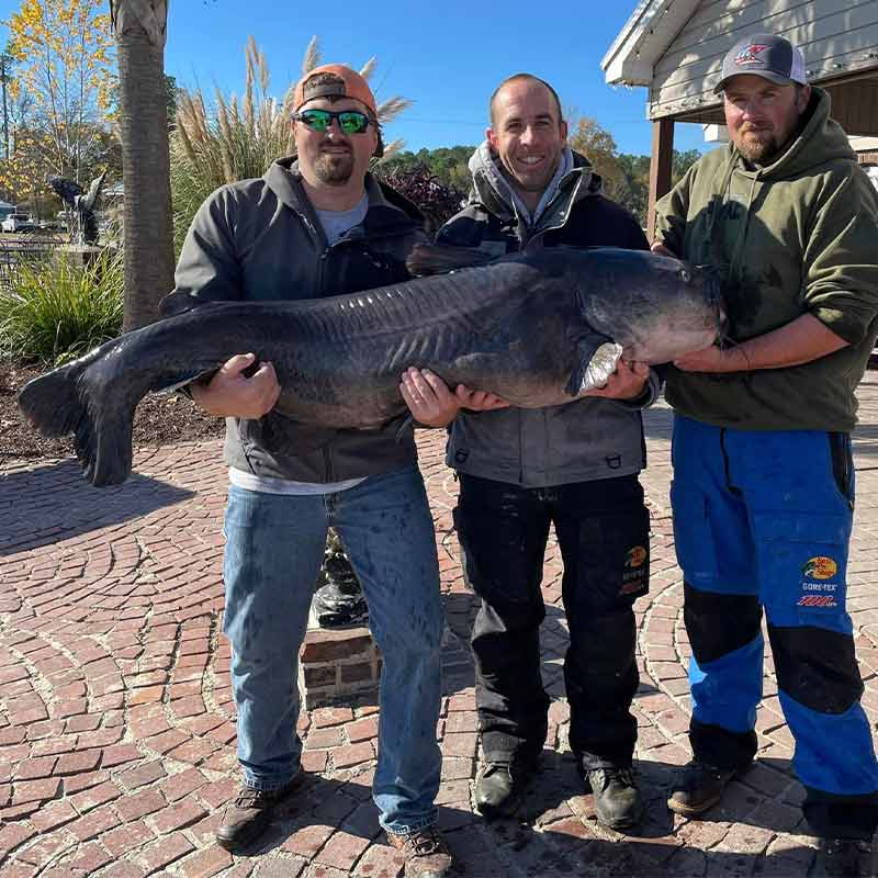 AHQ INSIDER Santee Cooper (SC) 2023 Week 51 Fishing Report – Updated December 21